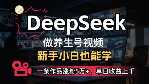 DeepSeek+既梦Ai生成养生视频，5分钟一条，条条爆款，轻松日入300+-网站游戏源码-黑科技工具分享-www.0592tk.cn-厦门腾空互联