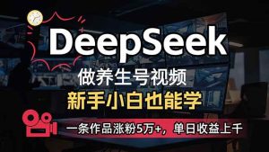 （14199期）小白用DeepSeek做养生号，一条作品涨粉5万+，单日收益上千-网站游戏源码-黑科技工具分享-www.0592tk.cn-厦门腾空互联